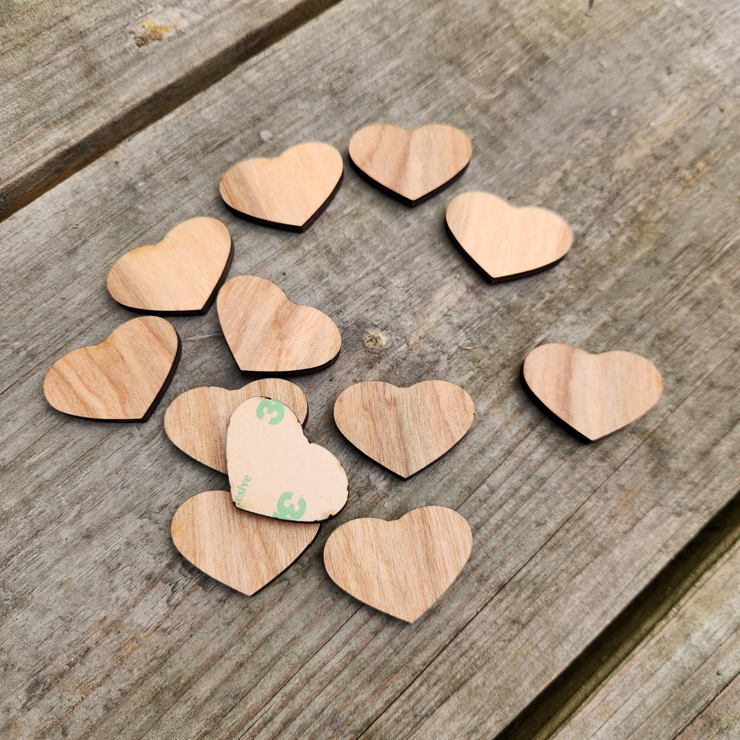 Grandkids Family Tree